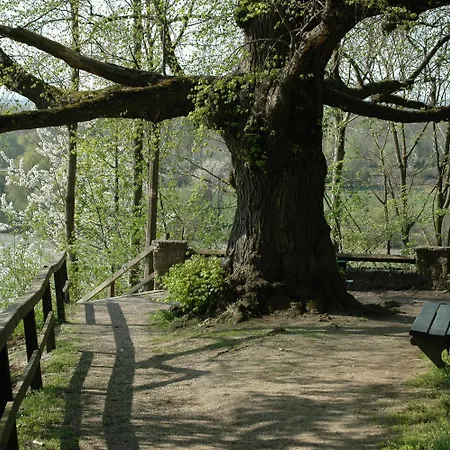 Haus Stuttgart אוברנברג אם אין