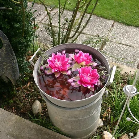 Panzió Haus Stuttgart