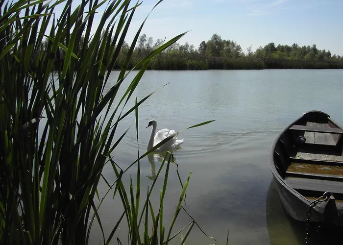 B&B Haus Stuttgart 3*